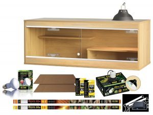 Bearded Dragon Starter Kits