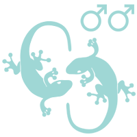 Can 2 female geckos live together